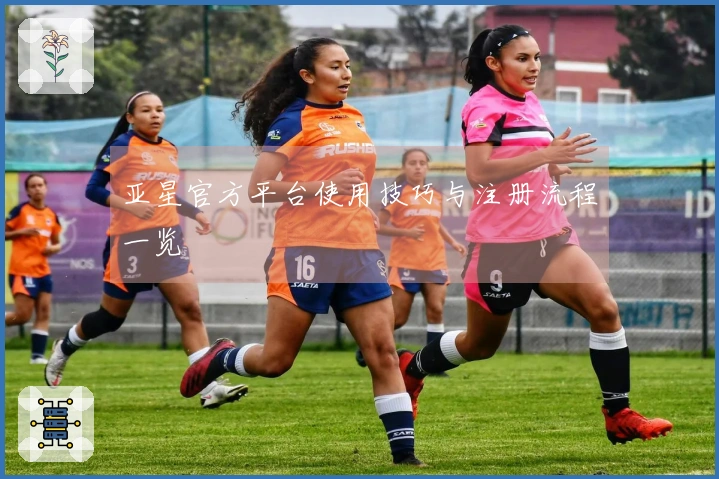 亚星官方平台使用技巧与注册流程一览